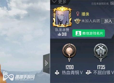 pubg地铁国际服《荔枝》辅助更新人物飞天功能版本